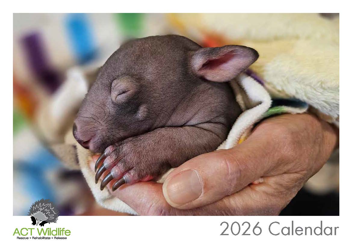 2026 ACT Wildlife Calendar